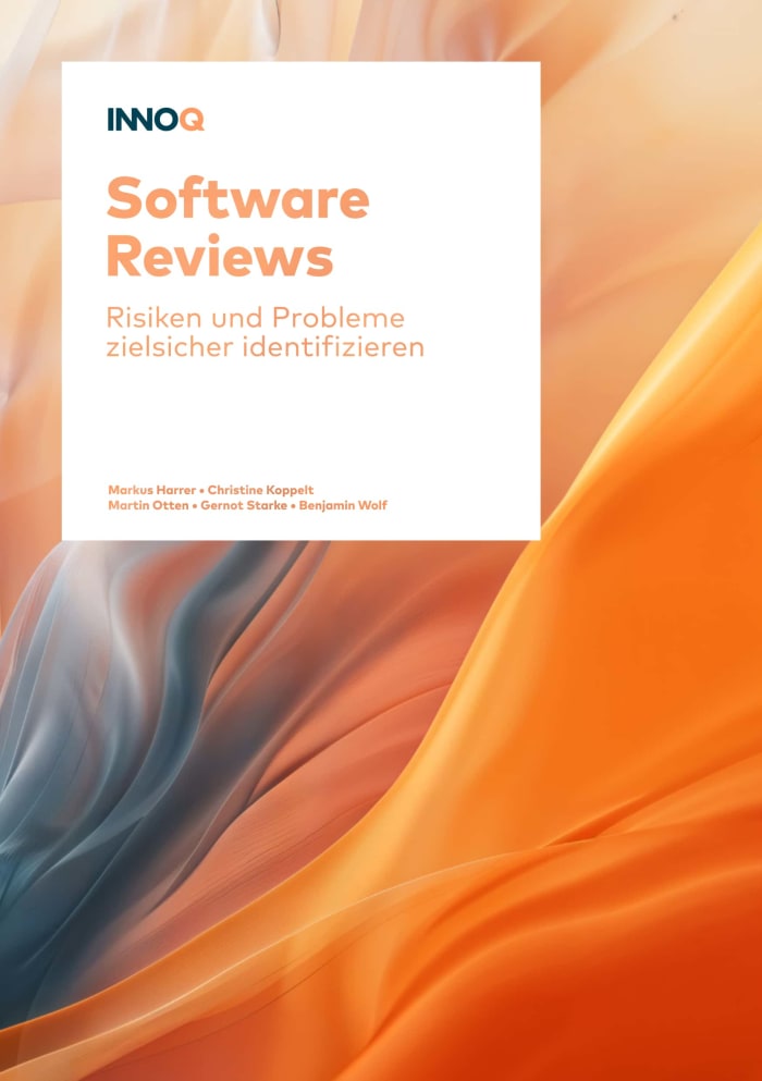 Cover: Software Reviews – Risiken und Probleme in Software zielsicher identifizieren
